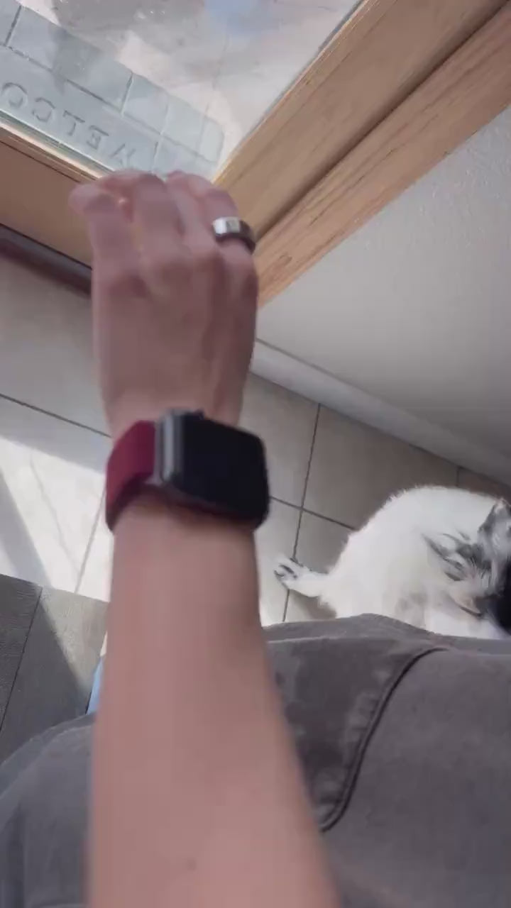 Apple Watch Band Soft Braided Magnetic Loop